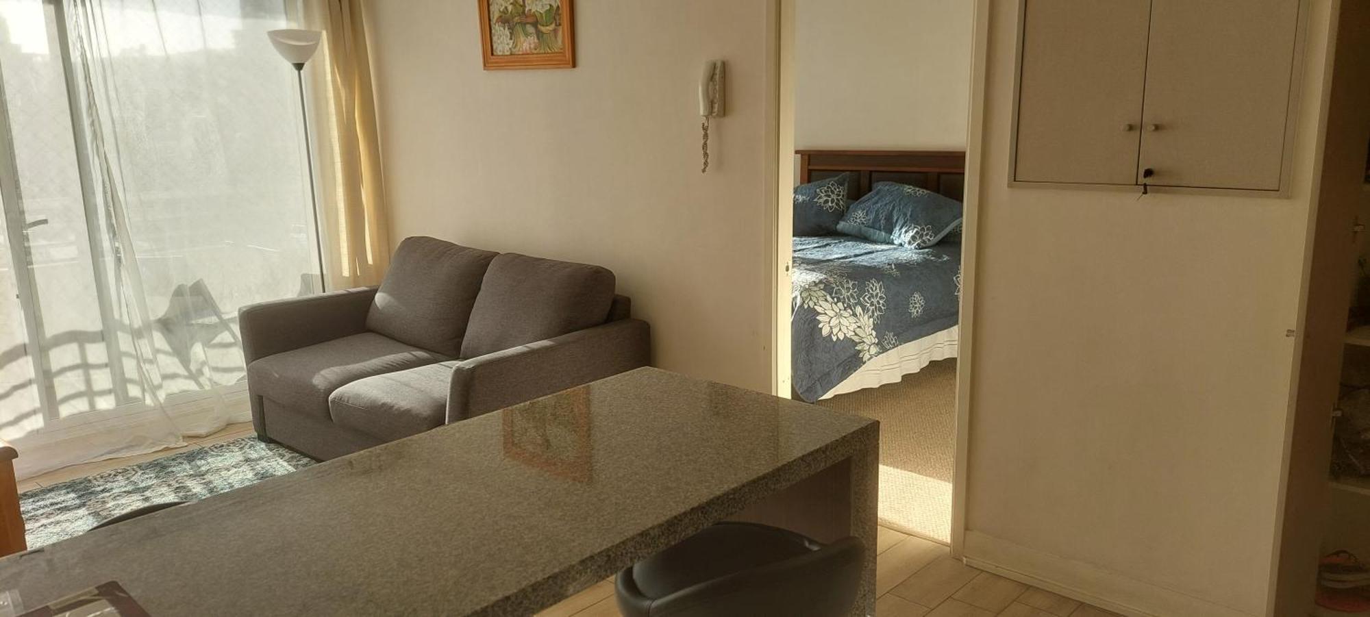 Departamento Centrico * Vina del Mar
